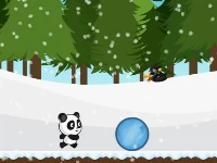 Panda run