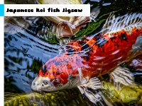 Japanese koi fish jigsaw