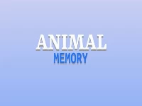 Animals memory