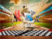 Crazy dog racing game 2020