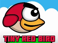 Tiny red bird