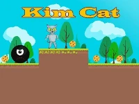 Kim cat game