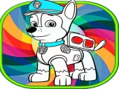 Paw patrol coloring book with magic pen