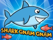 Shark gnam gnam