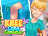 Knee case simulator