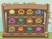 Flower collection