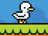 Duck shift