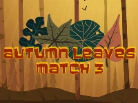 Autumn leaves match 3