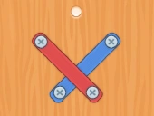 Nuts bolts screw puzzle