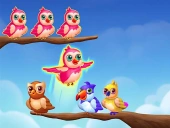 Birds sort color match puzzle