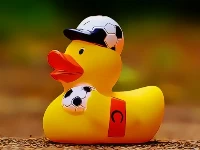 Yellow ducks puzzle