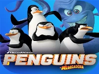Penguin fight